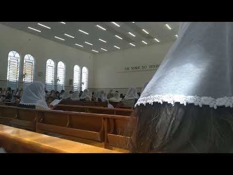 HINO CCB 308 (ENSAIO REGIONAL CCB SANTANA)