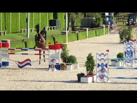 "Böckmanns Lord Pezi Junior" - CSI Valkenswaard 2019