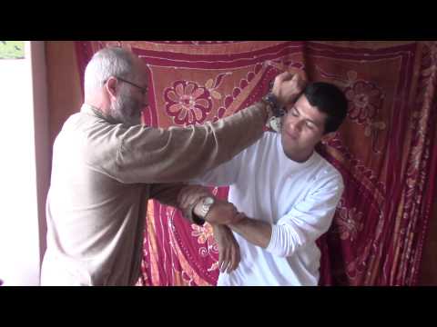 download lagu mp3 mp4 Wing Chun Lima, download lagu Wing Chun Lima gratis, unduh video klip Wing Chun Lima