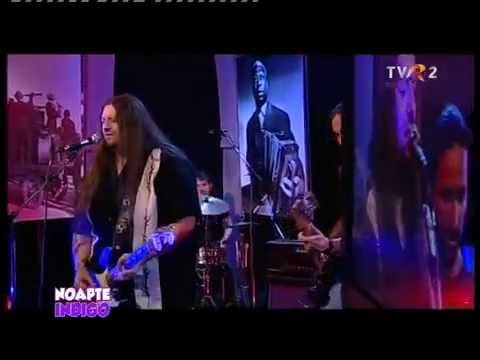 Rares Totu's Midnight Sun   Freedom