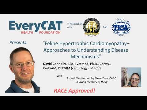 Feline Hypertrophic Cardiomyopathy– Approaches to understanding disease mechanisms