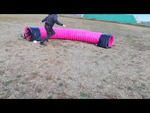 B.Fly "kicsik" :) - 2017.11.19.