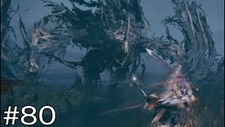 敵の火力高すぎない？【エルデンリングDLC】#80　※ネタバレ注意