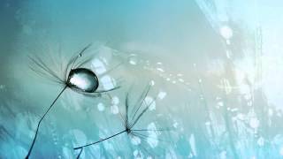 Cecile Corbel - Arrietty&#39;s Song (Japanese version) (DorDor練唱版)