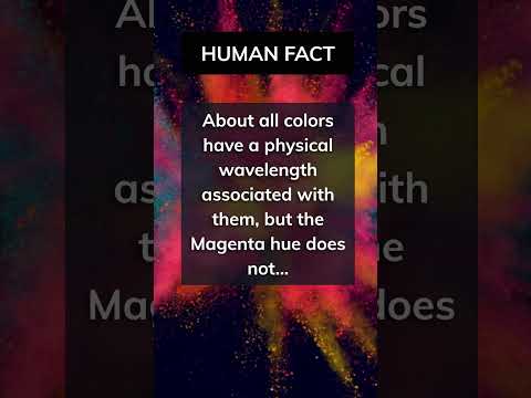 The Mysteries of Color Perception #shorts #youtubeshorts #psychology #colors #human #people #facts