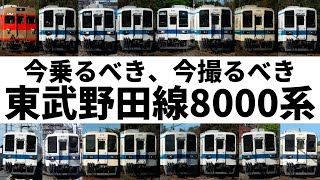 【今しか見られない】東武野田線8000系全16編成を紹介