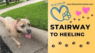 Stairway To Heeling