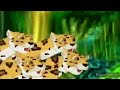 Go Diego Go Theme Song In My G Major