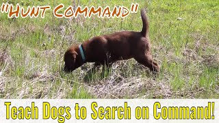The Hunt Command: Teaching Dog to Hunt on Command