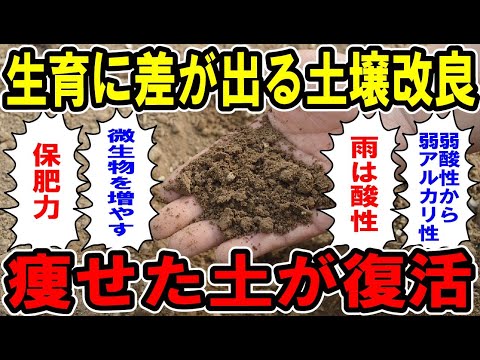 園芸 痩せた土壌をどう改善するか?