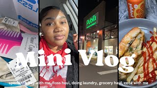 MINI VLOG | PTO day, Ross haul, getting this laundry done, grocery haul, making Salmon Cheesesteak