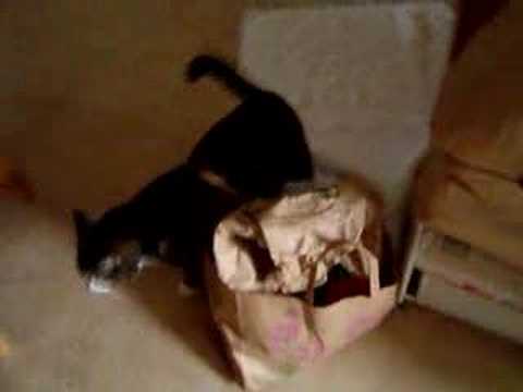 problemet med potatispåsen.