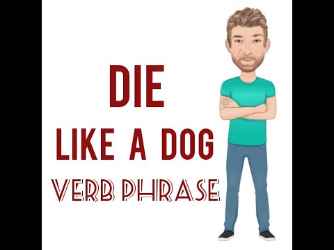 Why Do We Say to Die Like a Dog? Verb Phrase (726) Die Like a Dog - English Tutor Nick P