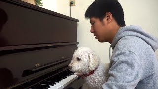 乱乱弹 - 艾伦窝壳的阿龙  ALONE NOOB PIANO COVER