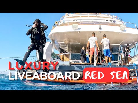 RED SEA LUXURY DIVE LIVEABOARD || Arriving in Egypt + first night on board