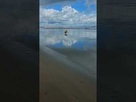Praia de icapuí -CE