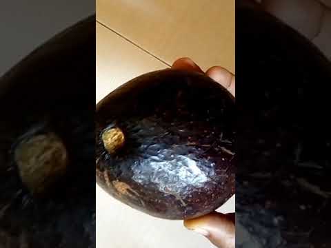 what kind of this Fruit