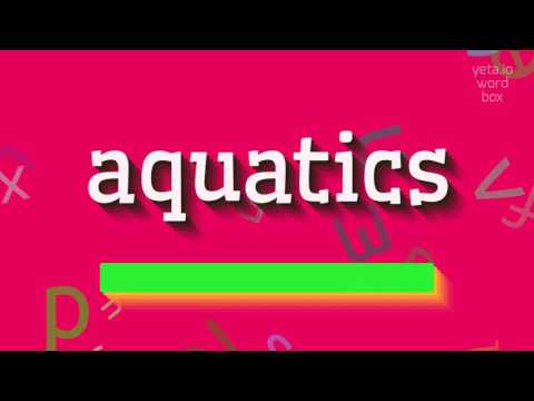 AQUATICS - HOW TO PRONOUNCE IT? #aquatics