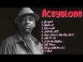 Sunsets & Waterfalls-Aceyalone-Chart-toppers galore for 2024-Interconnected