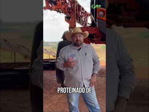 Atenção, pecuaristas de Rondônia! 🚨 Hoje o Giro do Boi mostra um caso de arrepiar: um boi de 22 arr