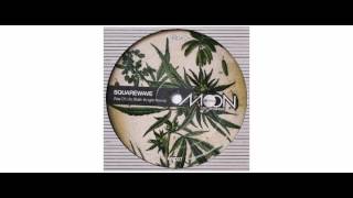 Squarewave  - Way Of Life / Sukh Knight Remix - 12