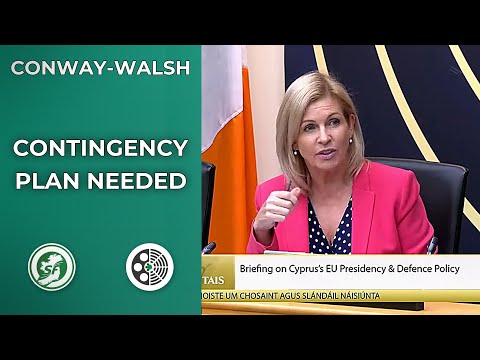 Rose Conway-Walsh: We Needed a Plan B for EU Presidency