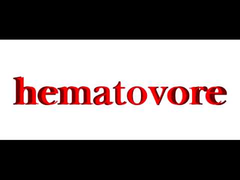 Hematovore - 2 Fragments  [audio only]