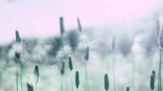 የፈትዋ ጥያቄወችና መልሶቻቸው በኡሥታዝ  አህመድ አደም(3)