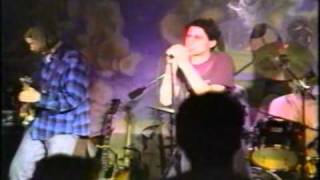 Funky Wet Beavers cover Sugar&#39;s &quot;Good Idea&quot;