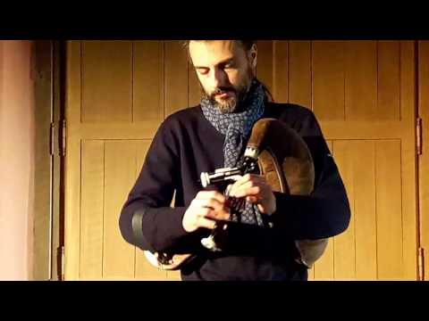 Fête de l' Âne 2017   Sens   François Lazarevitch   Muse et Musette  02 © gl phot@yahoo fr