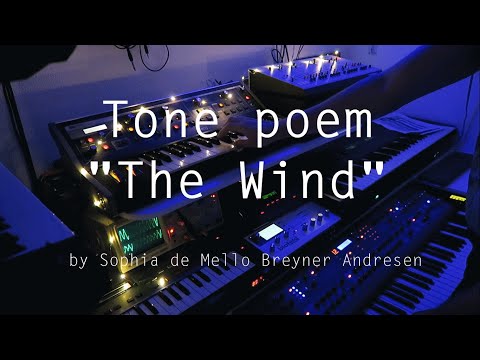 Tone Poem: The Wind (Sophia de Mello Breyner Andresen)