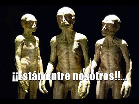 Entrevista a una reptiliana (Lacerta) COMPLETA