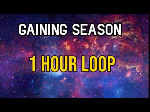 GAINING SEASON 1 HOUR LOOP (LUPUS NOCTE)