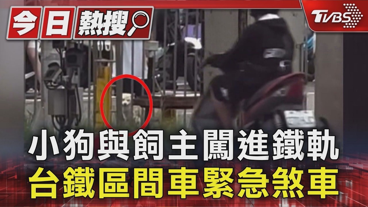 牽繩繞2圈仍掙脫! 小狗與飼主闖進鐵軌　台鐵區間車緊急煞車｜TVBS新聞 @TVBSNEWS01