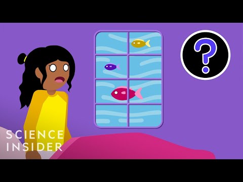 如果一夜之間所有的冰都融化了怎麼辦 (What If All The Ice Melted Overnight)