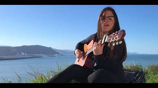 Nómada- Madera Ilegal