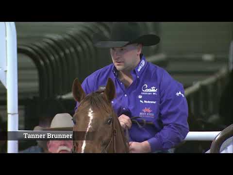 Tanner Brunner, a FWSSR Qualifier Rodeo entry, Splits Steer Wrestling