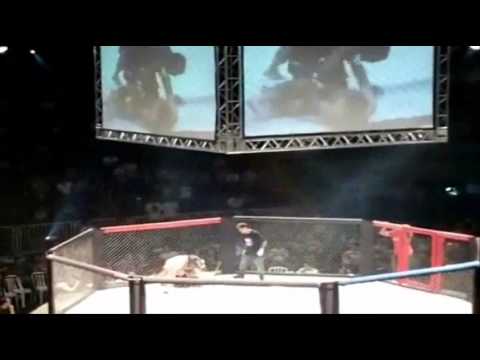 ED Carlos "Monstro" - The real Status Highlight