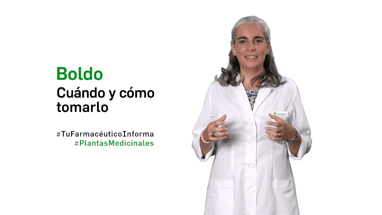 Watch Boldo, cuándo y cómo tomarlo - Tu Farmacéutico Informa #PlantasMedicinales Now Boldo, cuándo y cómo tomarlo - Tu Farmacéutico Informa #PlantasMedicinales