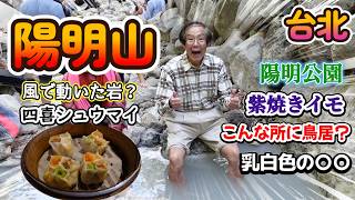 陽明公園とその周辺のチェックポイント～！