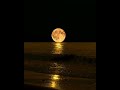 2 November 2023 Nature Amazing Beautiful Naturebeuty Viral