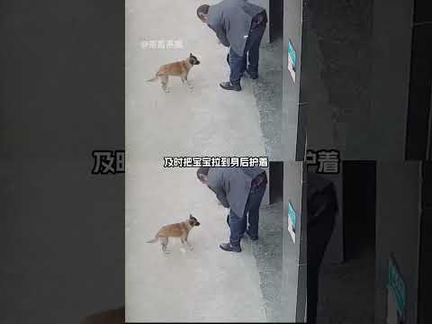 小寶在這樣一個家庭長大，一定很幸福（cr：雅虎）#感動 #幸福#家庭 #狗狗