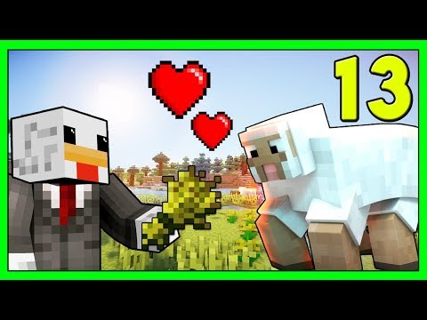 Minecraft Vanilla - La Farm Di Pecore Colorate #13