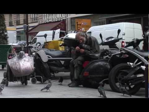 comment soigner un pigeon blessé a l'aile