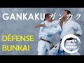 GANKAKU Défense et Bunkaï par Didier Lupo