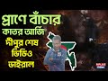 Bangladesh News প্রাণে বাঁচার কাতর আর্জি দীপুর �