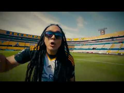 Video thumbnail for Dale Tigres