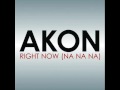 Akon - Right Now (na na na) / A7 Reggae Remix ...