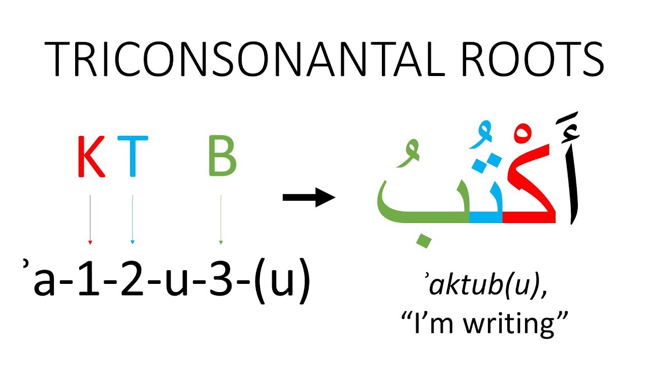 Feature Focus: Nonconcatenative Morphology