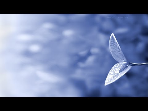 [Solace Trancemit 10-016] Trance Mix -=- Uplifting / Vocal